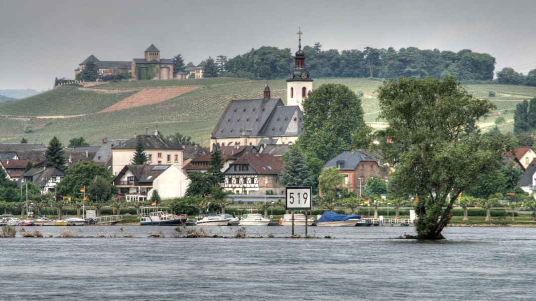 The Rhine