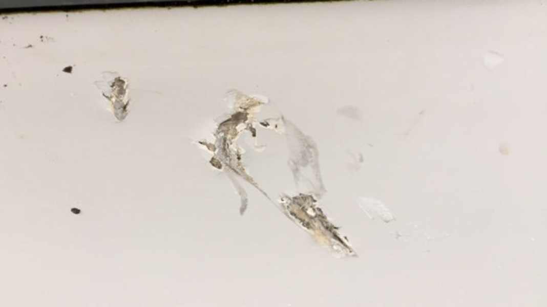 Charter-Special: Die richtigen Versicherungen für Ihren Bootsurlaub