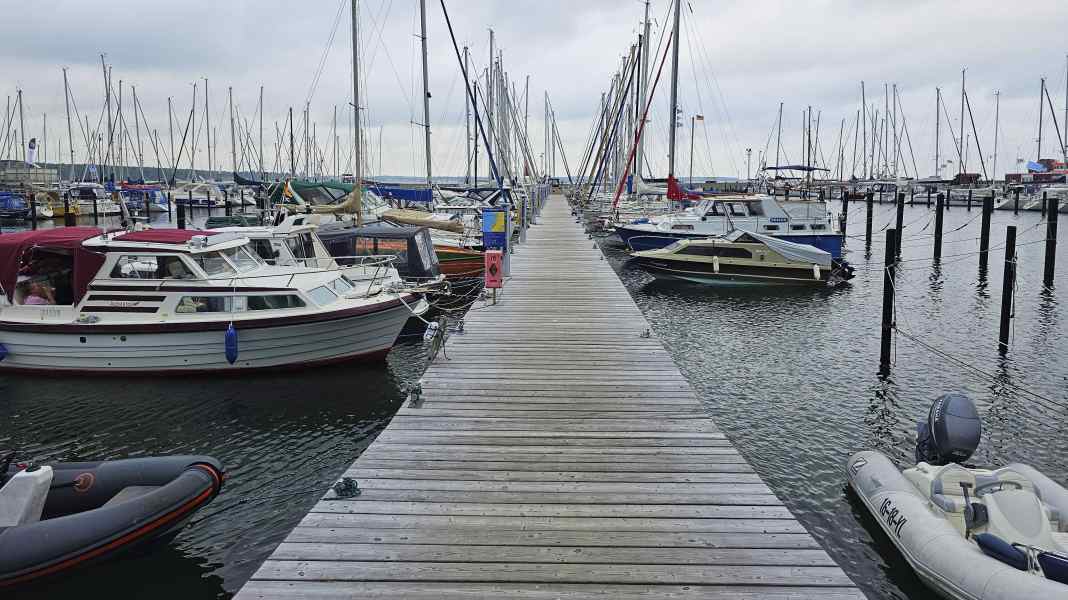 Baltic Sea Report 2026: Berth shortage on the Baltic Sea - boxes are still available here