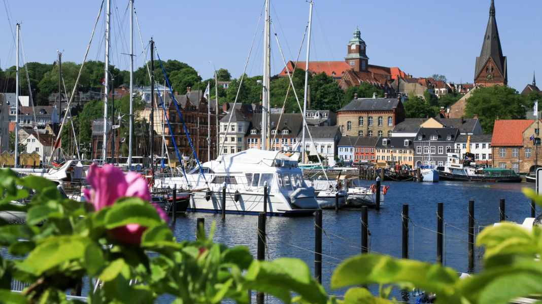 Baltic Sea: 2025 season - news on the Flensburg Fjord and Schlei