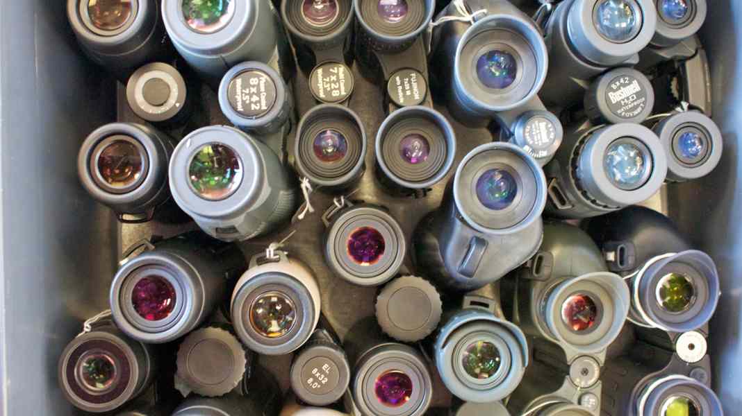 Binoculars: 7x30 in a practical test