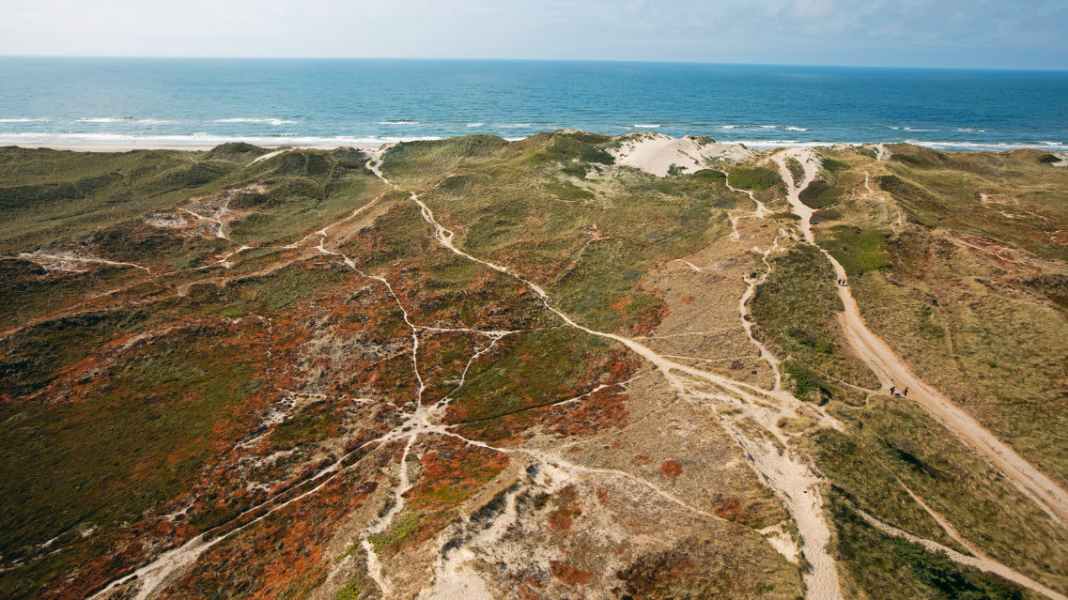 Journey: Ringkøbing Fjord / Denmark - Behind the sea
