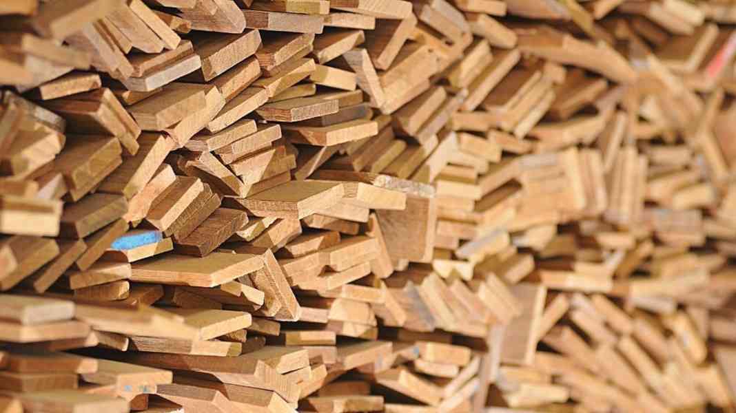 Sunseeker denies using banned teak wood