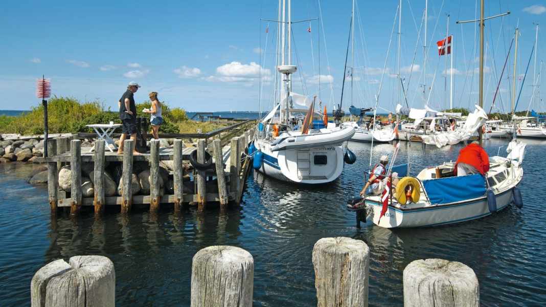 Revier: Birkholm / Dänemark - Kleine Perle