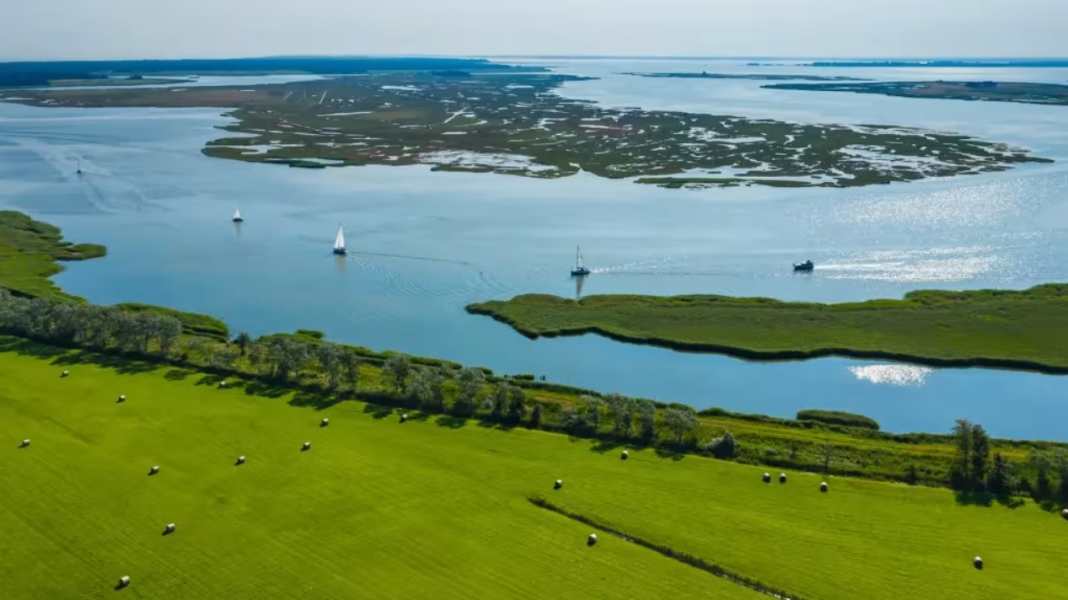 Baltic Sea Protection Action Plan: Three areas now under strict protection