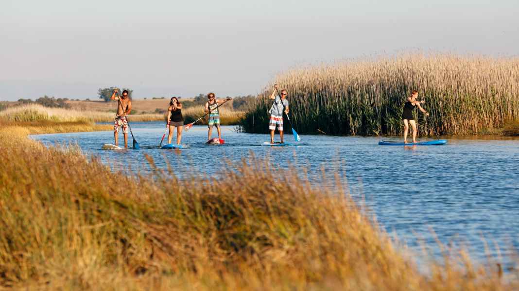 Test 2016: Vario paddle