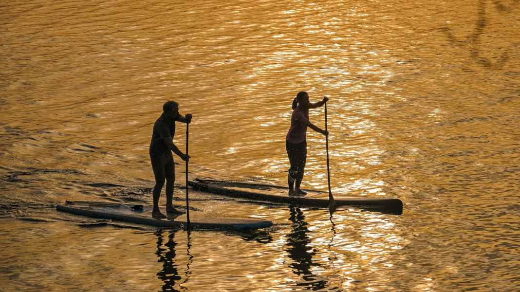 Test 2020: Special boards 12'6" to 14"