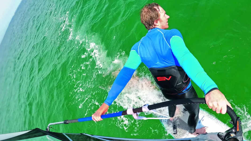 Aluminium fork trees: 16 inexpensive models in the test