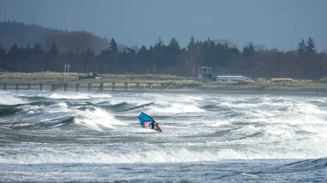 Baltic Sea National Park: What happened at the strategy meeting in Kiel