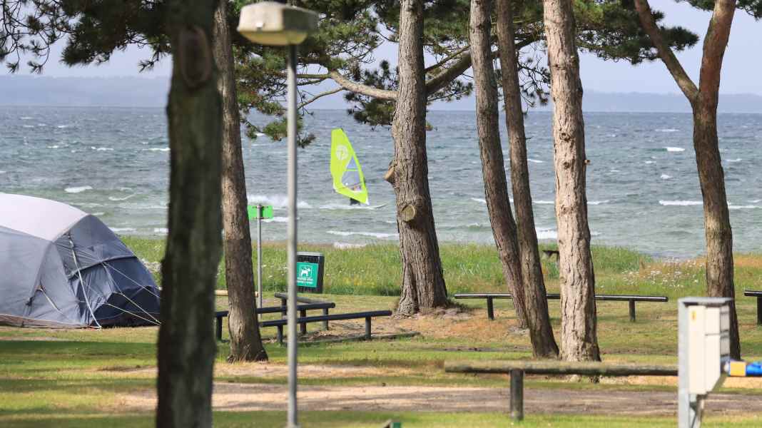 Camping-Tipps: Campingplätze zum Surfen - vom Bett aufs Brett in Dänemark