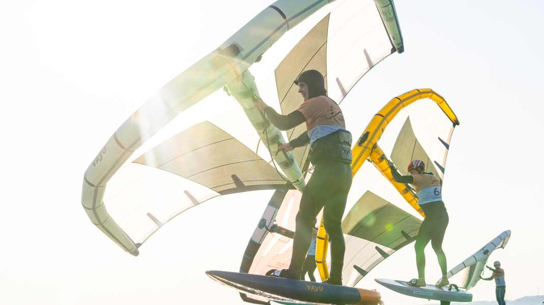 Winger of the Sea - Cooperation with Love my Earth