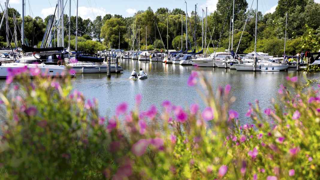 Zum Saisonbeginn: Revierupdate Nordsee 2 - Jade und Weser