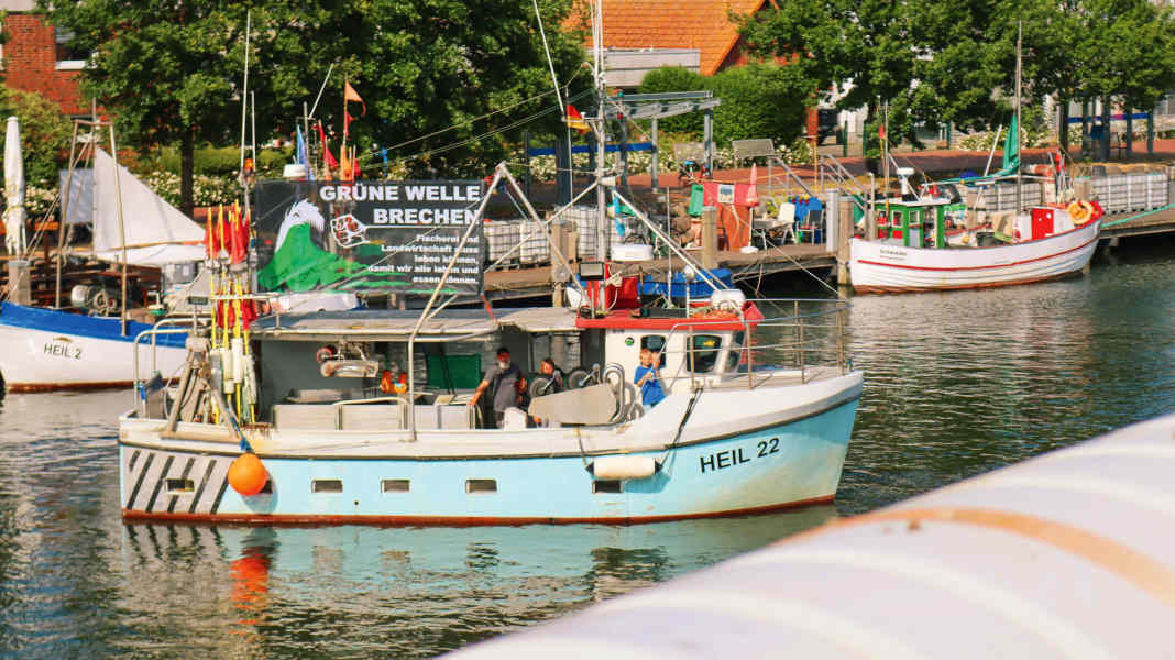 Intervista: Lo scienziato ritiene che il dibattito sui parchi nazionali sia una tempesta in un bicchier d'acqua