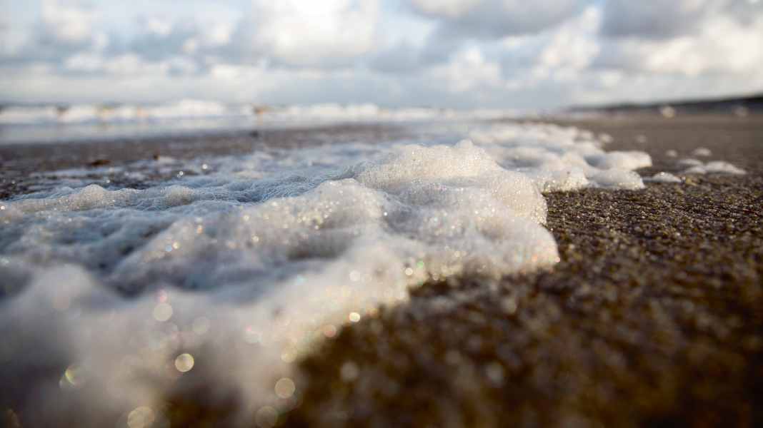 Piano d'azione per la protezione del Mar Baltico: il governo dello Stato fornisce informazioni sul progetto in occasione di eventi