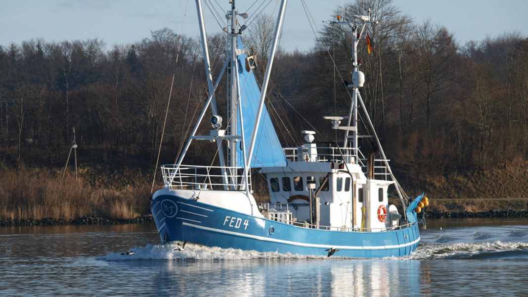 Interview: Are recreational skippers actually too reckless?