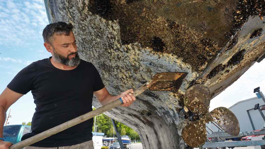 Peste avvelenata: la barriera corallina sullo scafo