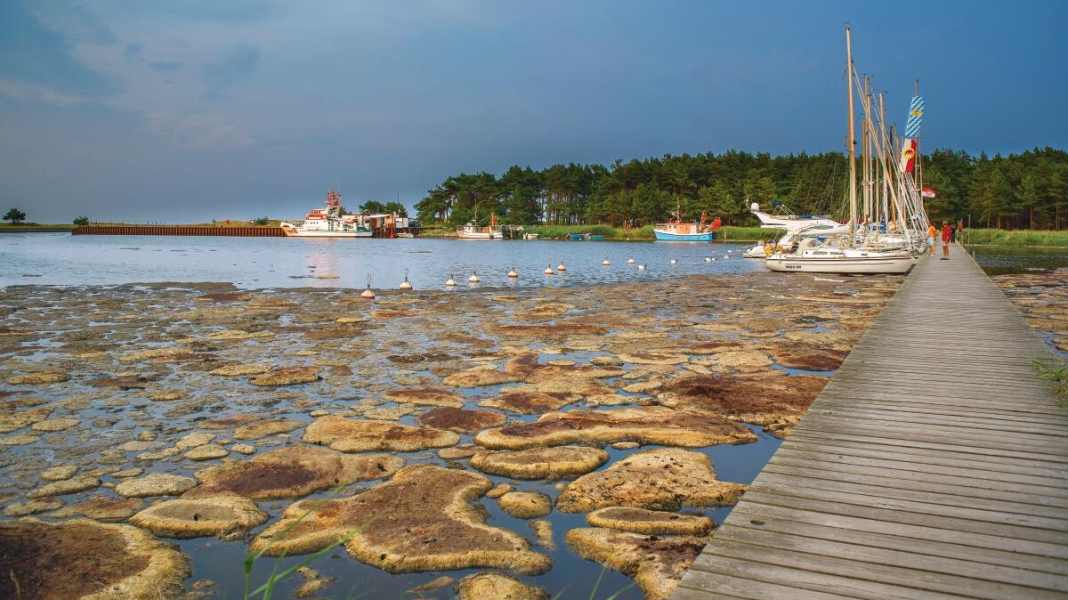 Baltic Sea: Access to the Darßer Ort emergency harbour is cleared for the first time
