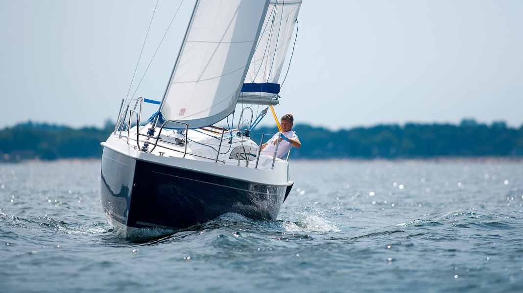 Viko 25: il bestseller della Polonia