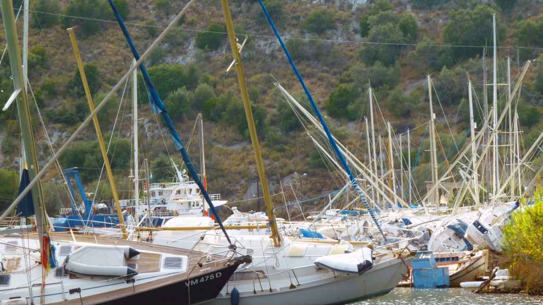 Galleria: Casi assicurativi spettacolari