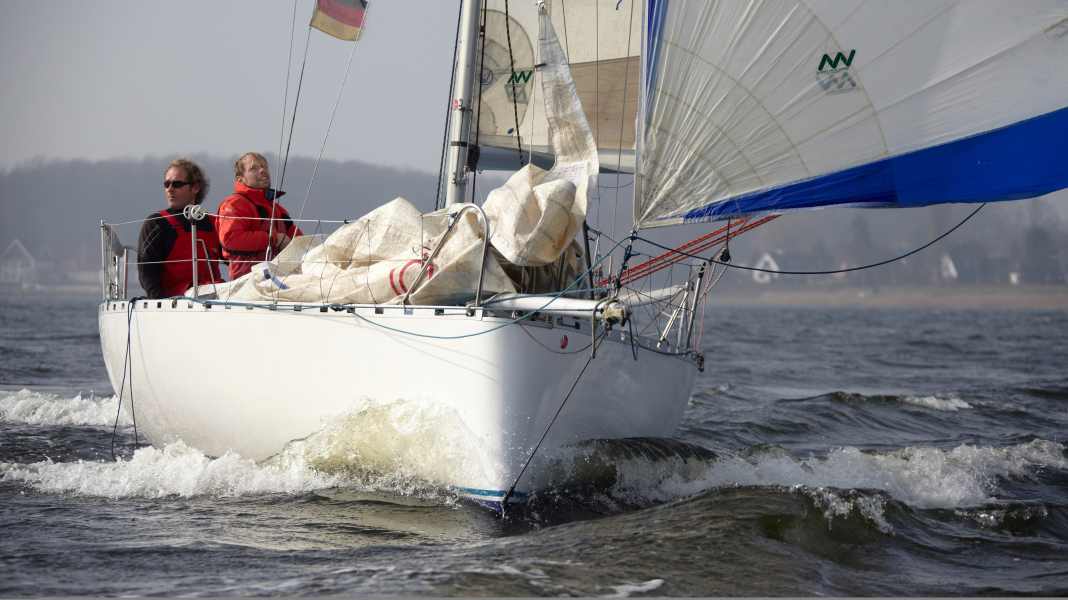 Second-hand boat Pogo 1: The boat that can do almost anything