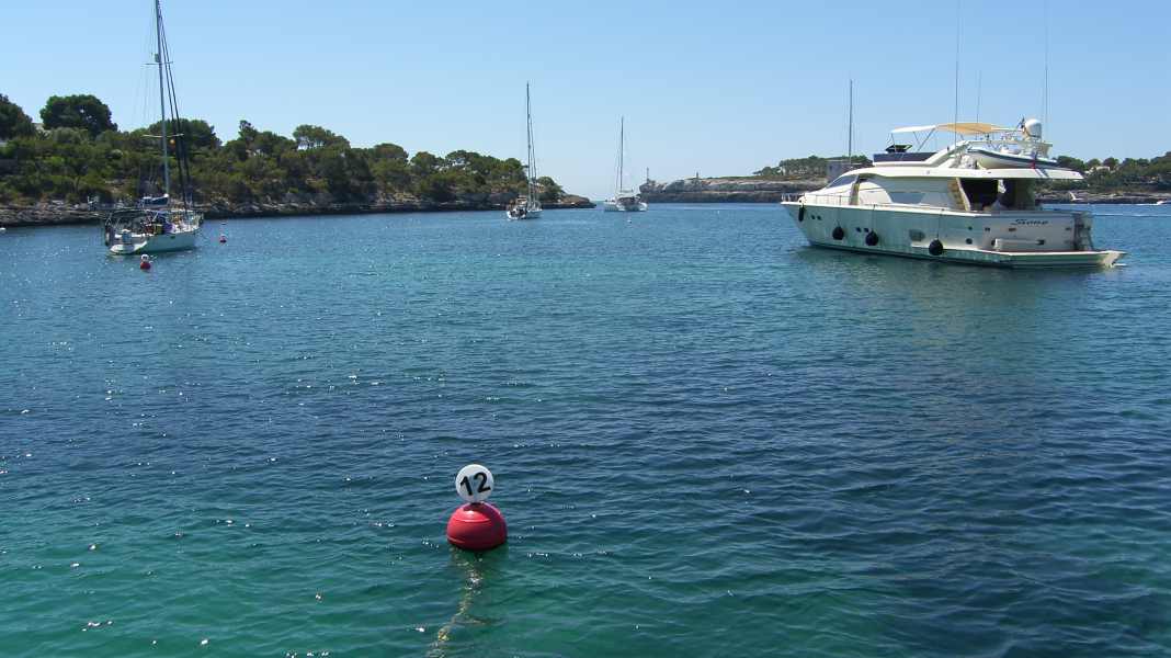 Spain: More buoy fields, higher prices