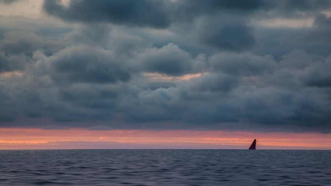 Volvo Ocean Race: Mapfre remains the measure of all things