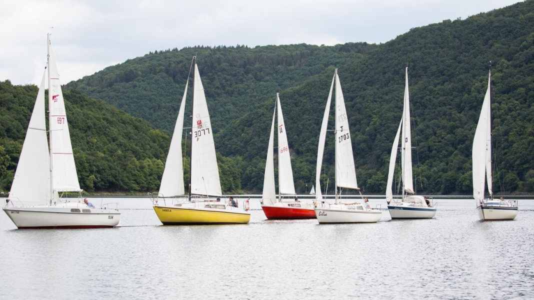 Small cruiser special: Small cruisers, big fun