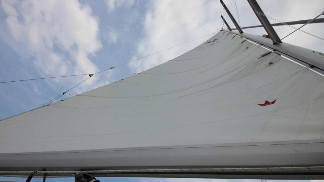 Auswintern: Maststellen: Trimm-Tipps vom Profi