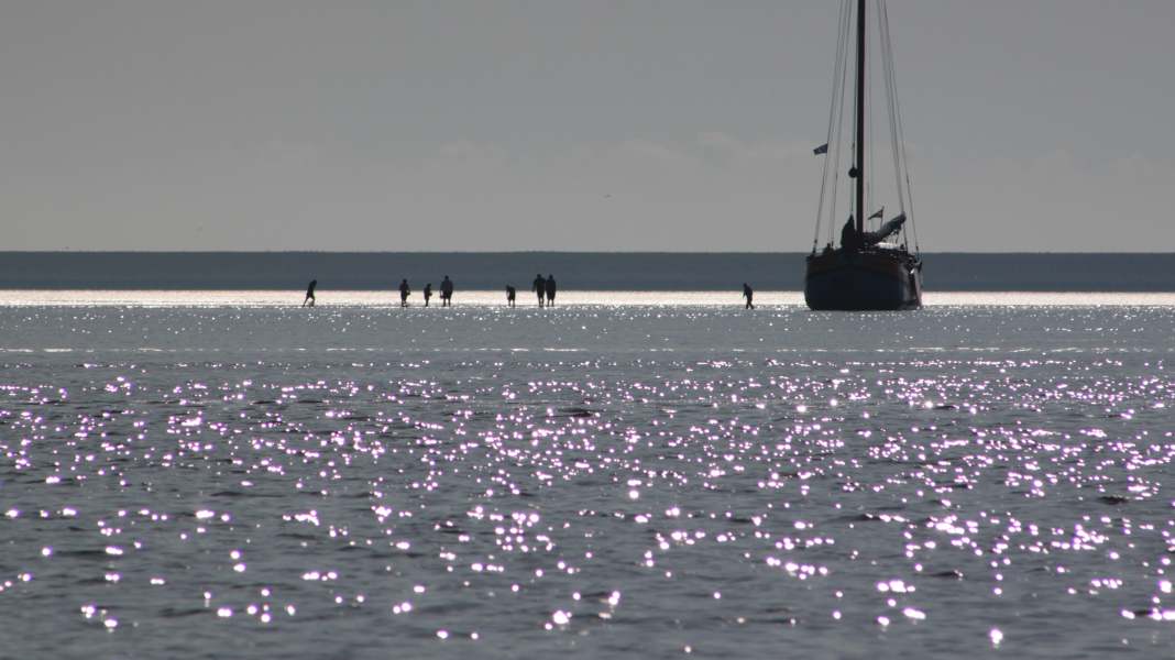 Information sur le territoire : Location de bateau Pays-Bas : Wattensee