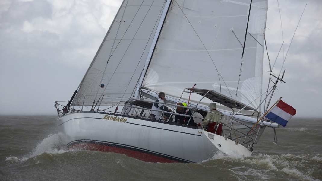 "Saudade": The "red sow" in retirement