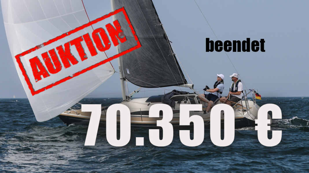 Auktion Dehlya 25: „Willy“ ist verkauft. Neue Heimat wird Österreich