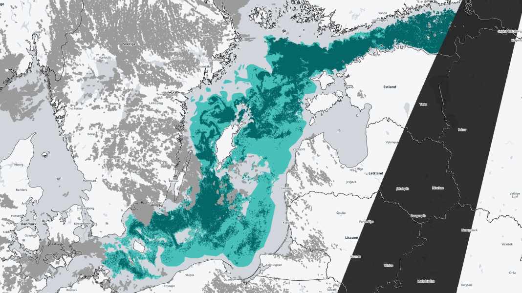 Environment: Algal bloom in large parts of the Baltic Sea