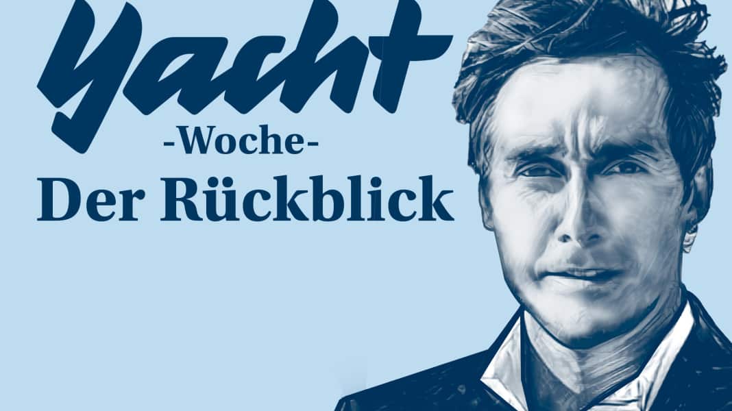 Avis : Des marsouins qui ne sont pas des dauphins