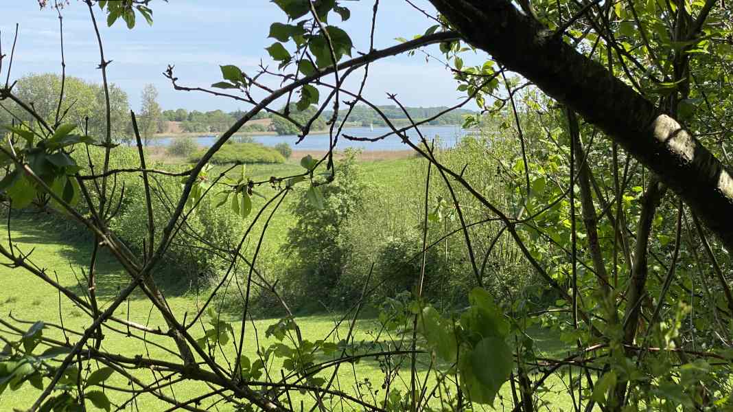 Wilfried Erdmann: Letzter Ankerplatz an der Schlei