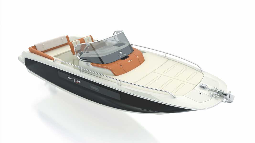 Novelty: Invictus 250 CX - What would you like?