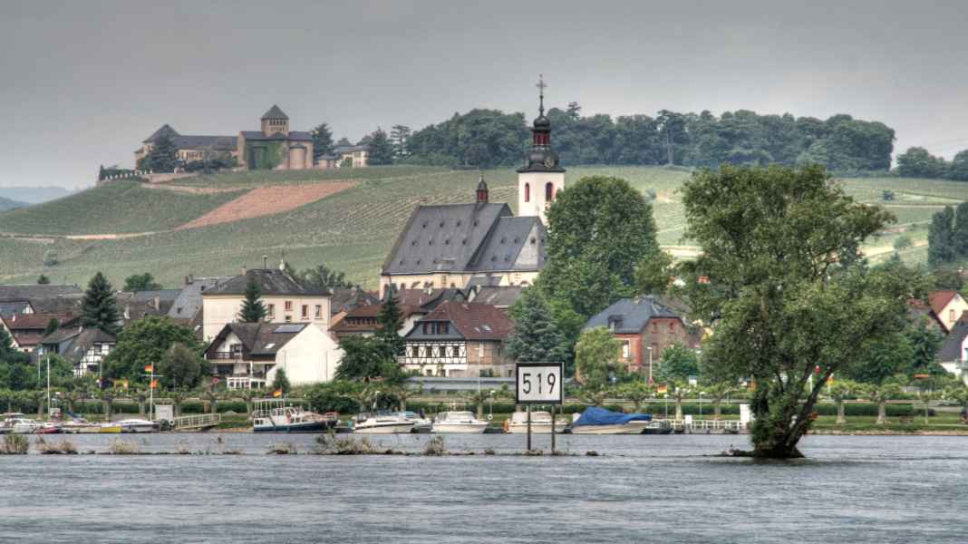 Der Rhein