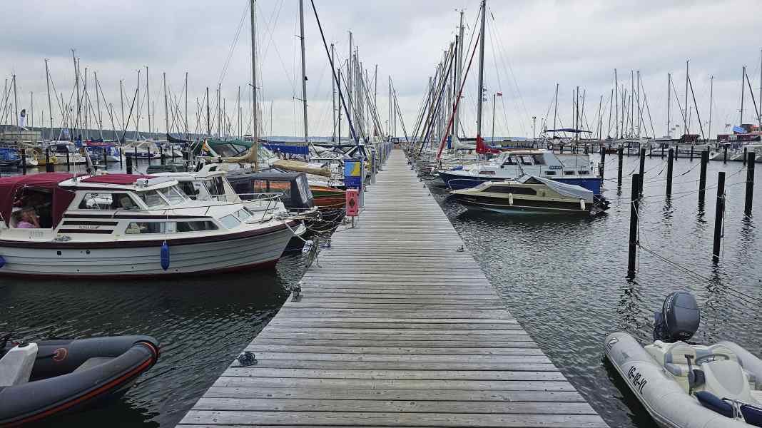 Baltic Sea Report 2026: Berth shortage on the Baltic Sea - boxes are still available here