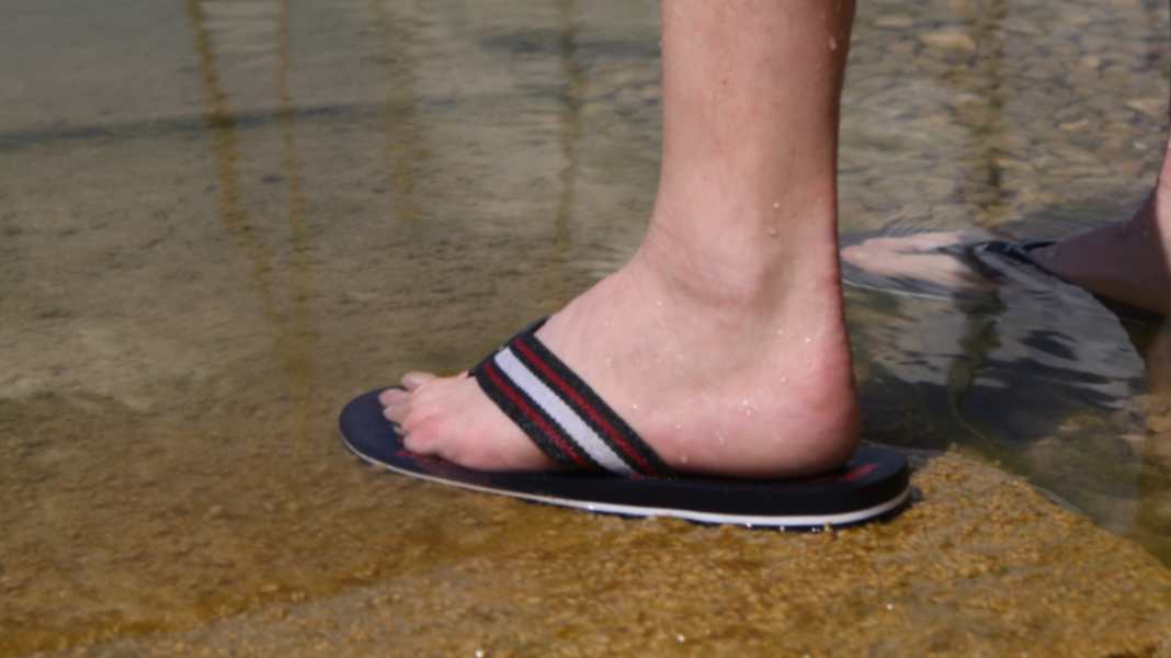 Vibrio bacteria in the Baltic Sea: What water sports enthusiasts need to know now