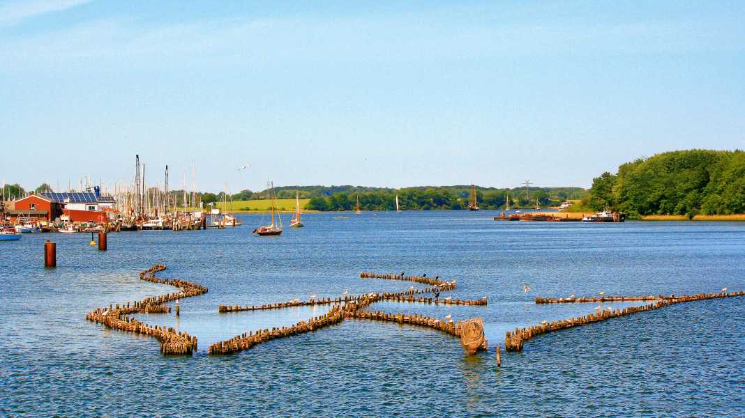 Törn: Schlei - Auf Odins Spuren