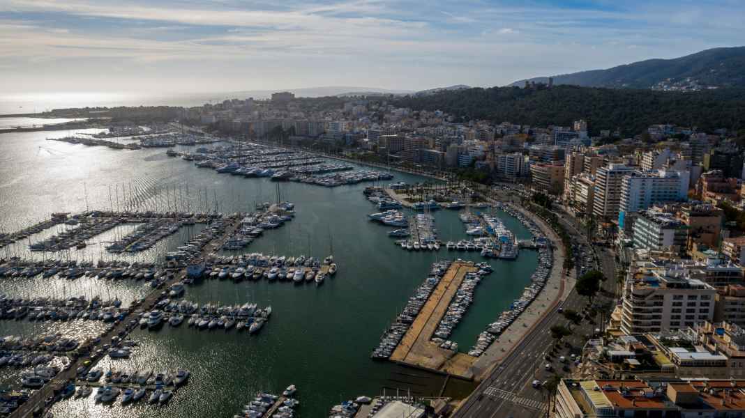 Palma: Three applicants for the marina licence