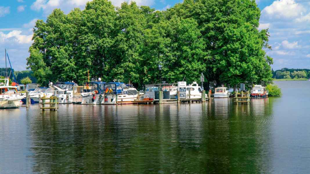 Revier: Obere Spree - Ein Teil vom grünen Traum