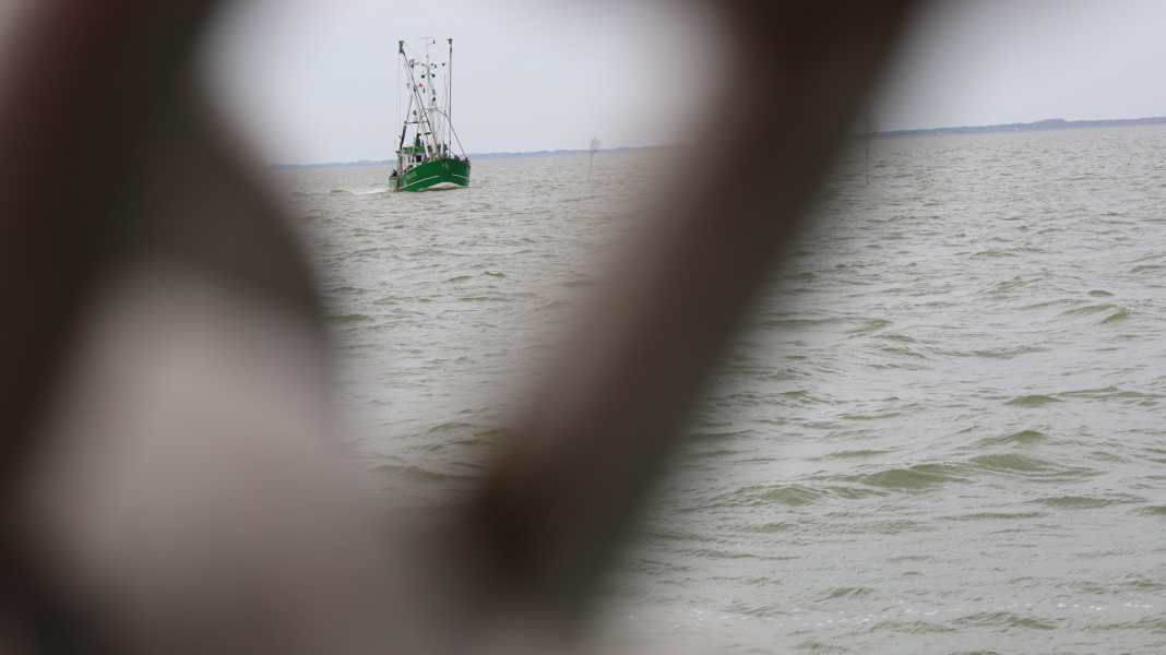 Zum Saisonbeginn: Revierupdate Nordsee 1 - Ostfriesland