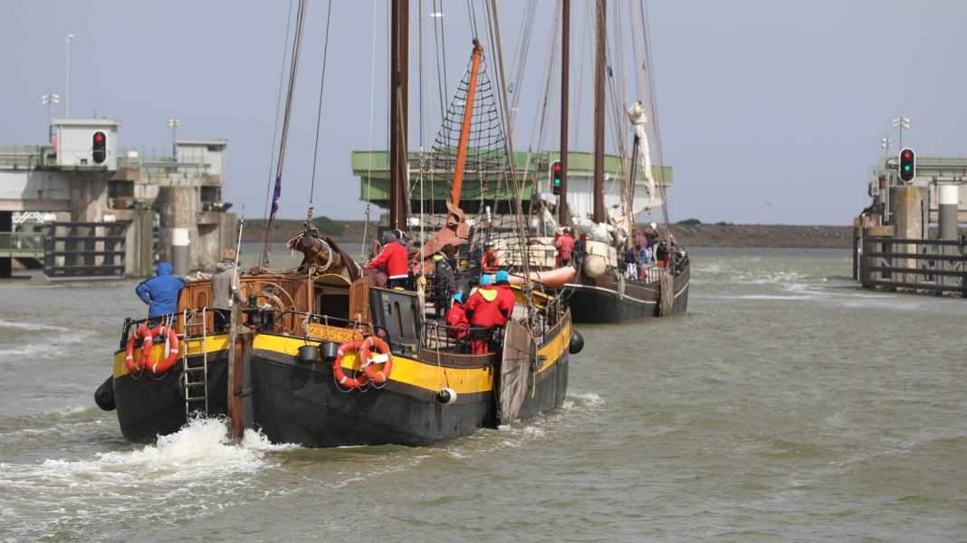 Niederlande: Von Zeeland zur Waddenzee – Revierinformationen