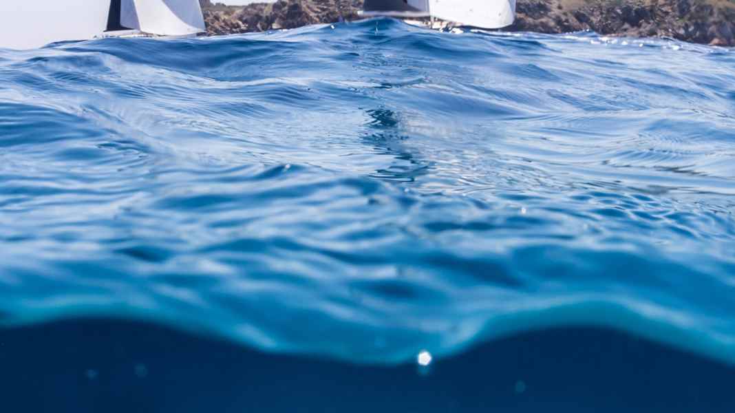 Wally Class declares war on plastic waste
