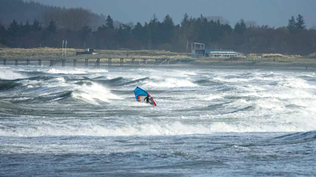 Baltic Sea National Park: What happened at the strategy meeting in Kiel