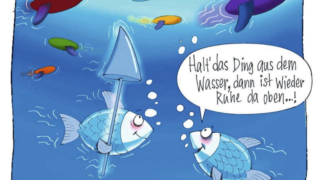 Still going?! What do fish actually think about windsurfers?