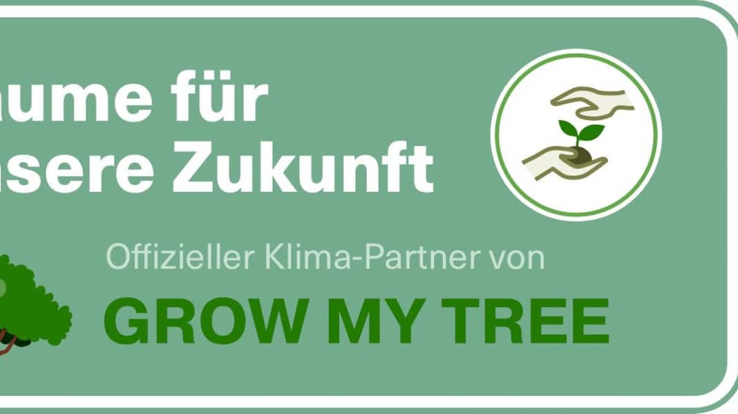 Nachhaltigkeit beim Windsurfen: Buch einen Baum