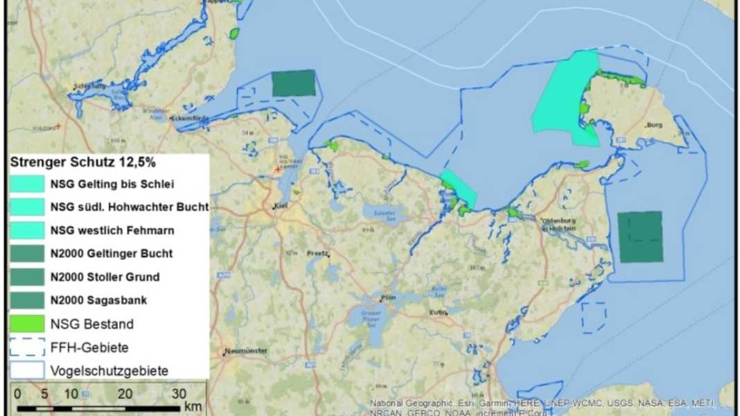 Baltic Sea Protection Action Plan 2030: 3 new nature conservation areas in the Bay of Kiel