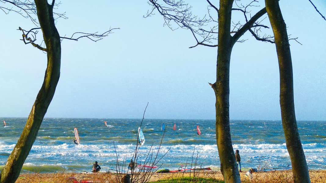 Baltic Sea National Park: "Open-ended discussion" - but positions are already being filled