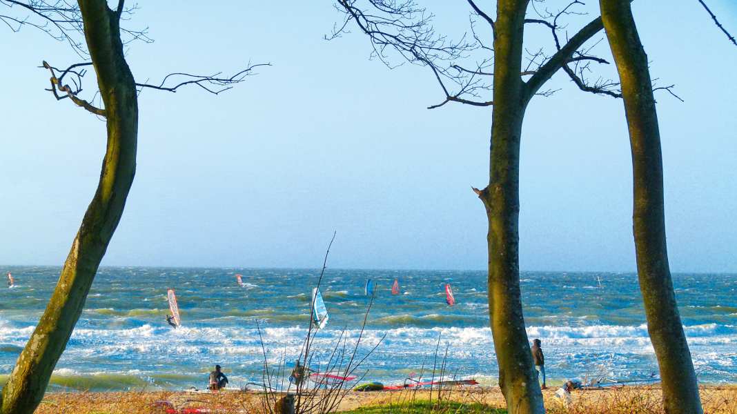 Baltic Sea National Park: Strategy meeting for water sports enthusiasts today - also available as a livestream